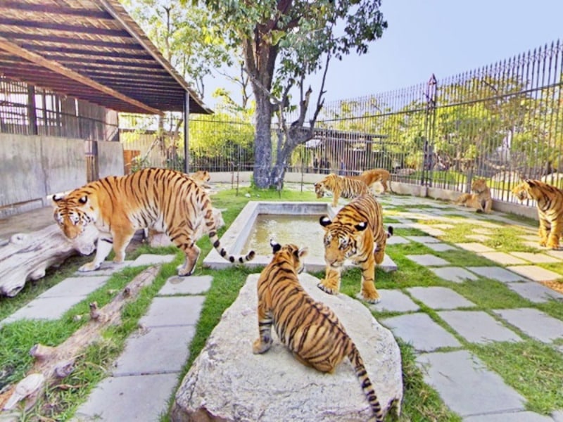 41. Hua Hin Safari Adventure Park - The Rock Hua Hin