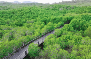เดินชิลล์ชมวิวบนเส้นทางวนอุทยานปราณบุรี - The Rock Hua Hin