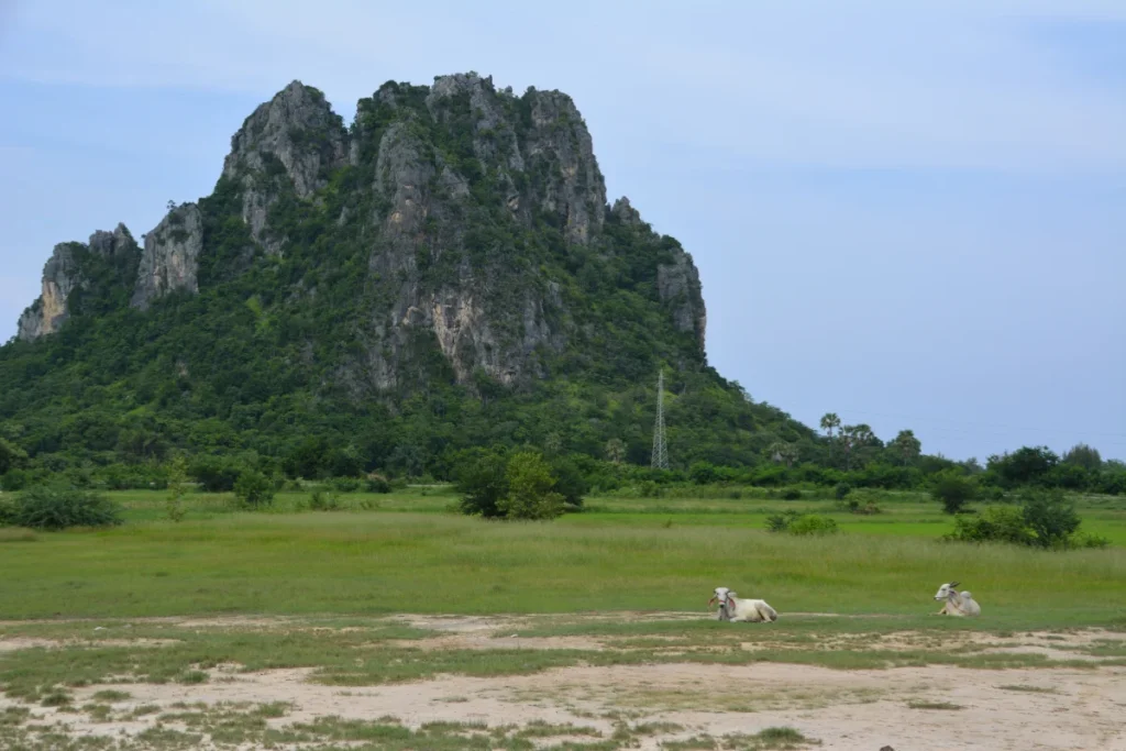 เทือกเขาหินปูที่ วนอุทยานเขานางพันธุรัต