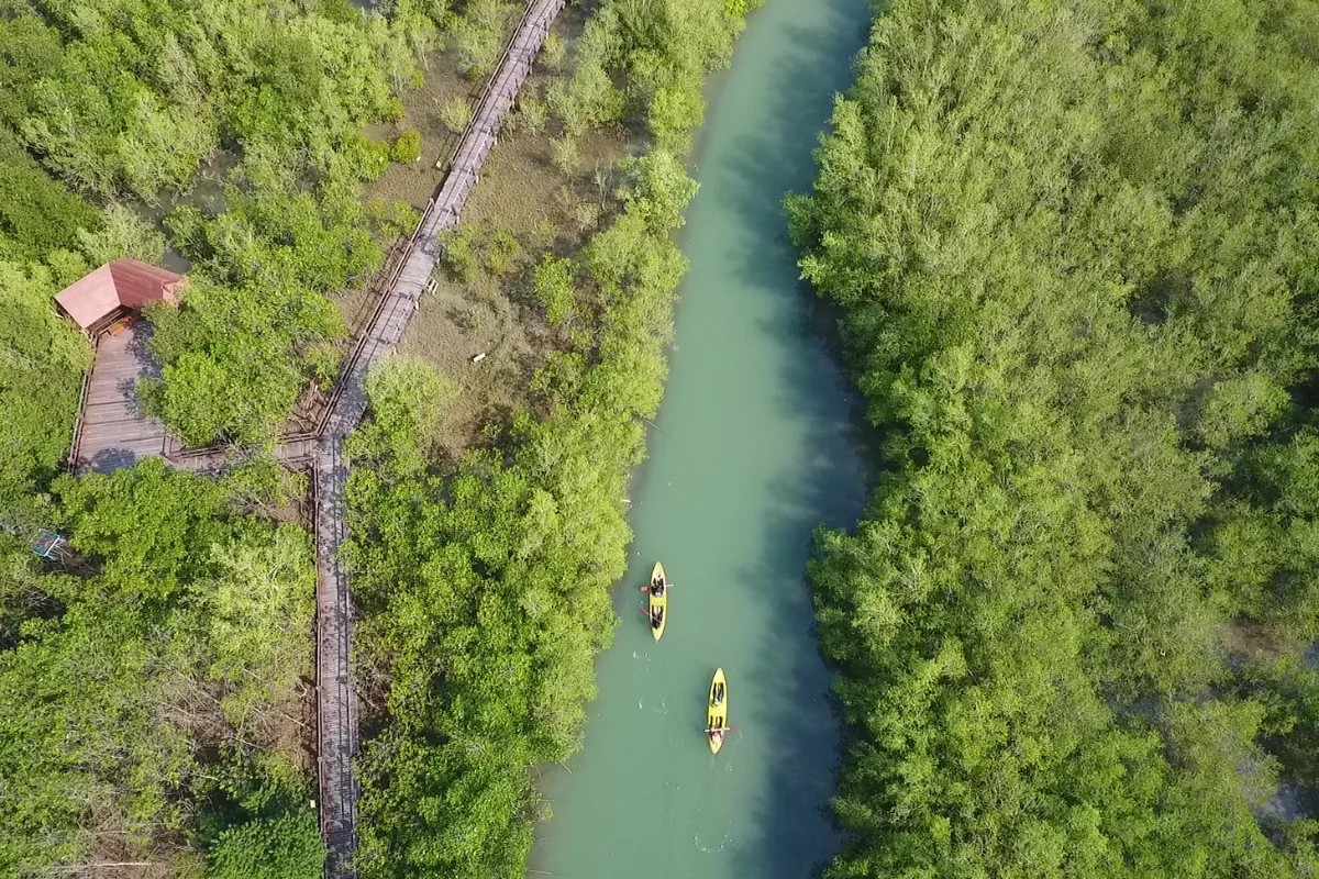 การเดินทางไปที่อุทยานสิ่งแวดล้อมนานาชาติสิรินธร