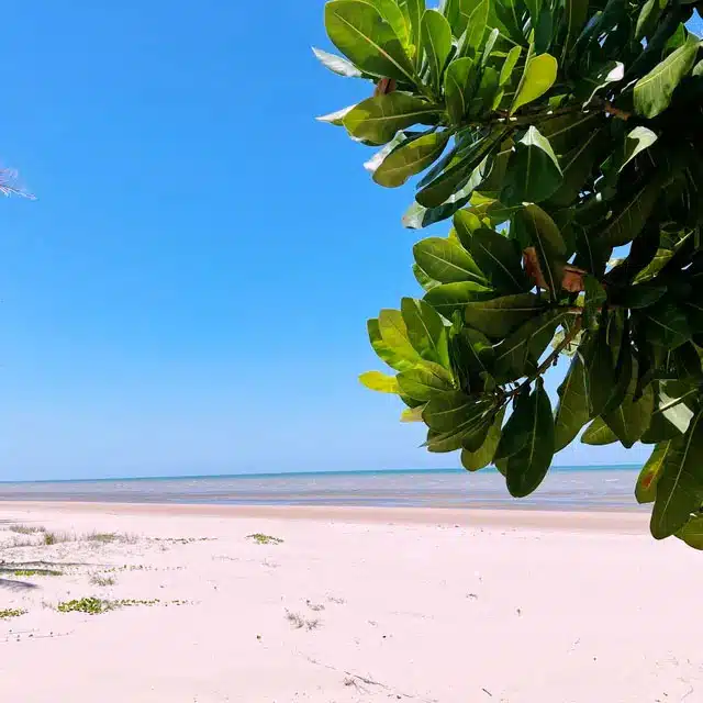 รวม 55 ที่เที่ยวหัวหิน 2568 ถ้าไม่มา ถือว่าพลาด!