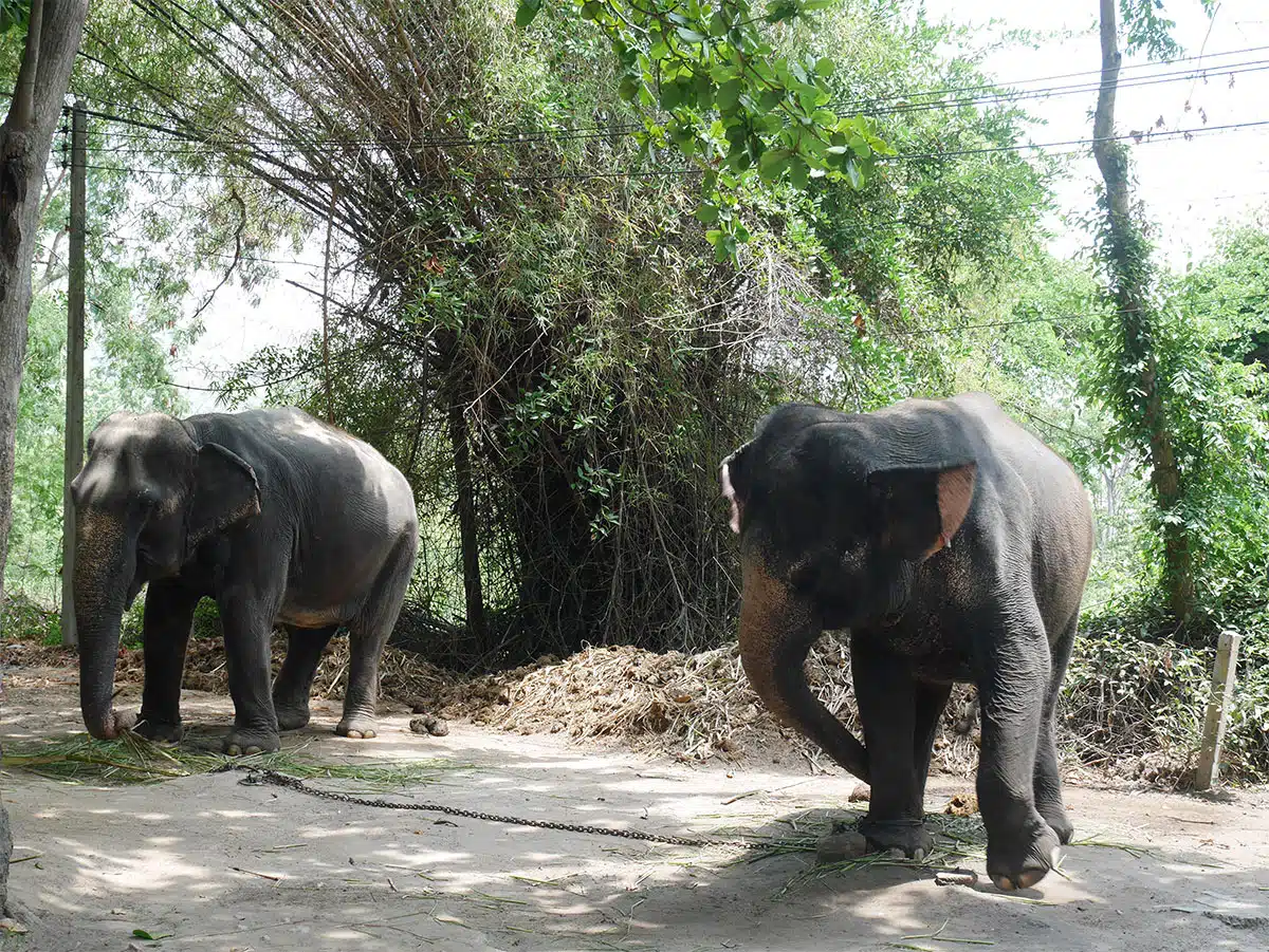 รวม 55 ที่เที่ยวหัวหิน 2568 ถ้าไม่มา ถือว่าพลาด!