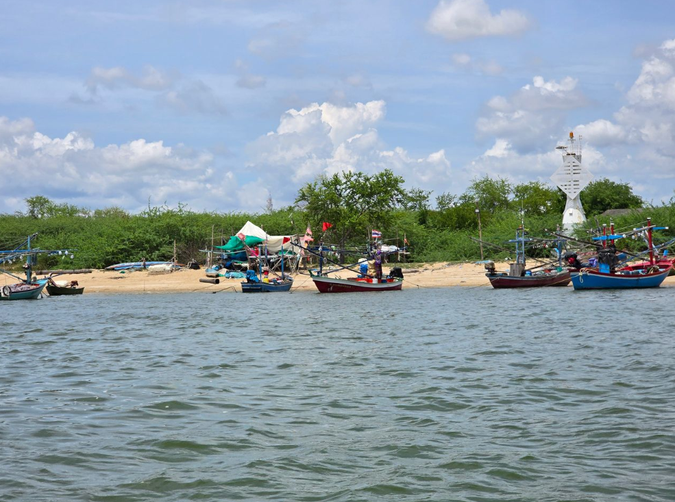 สำรวจวนอุทยานปราณบุรี: มหัศจรรย์ป่าชายเลนชายฝั่งของไทย