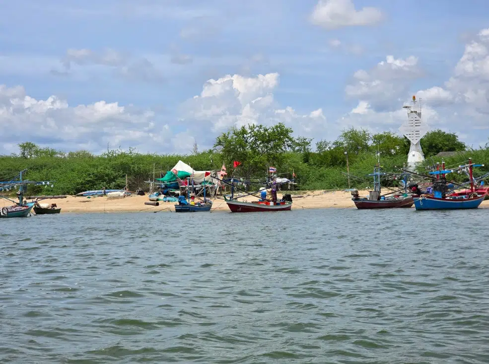 Exploring Pranburi Forest Park: Thailand’s Coastal Mangrove Marvel near Hua Hin