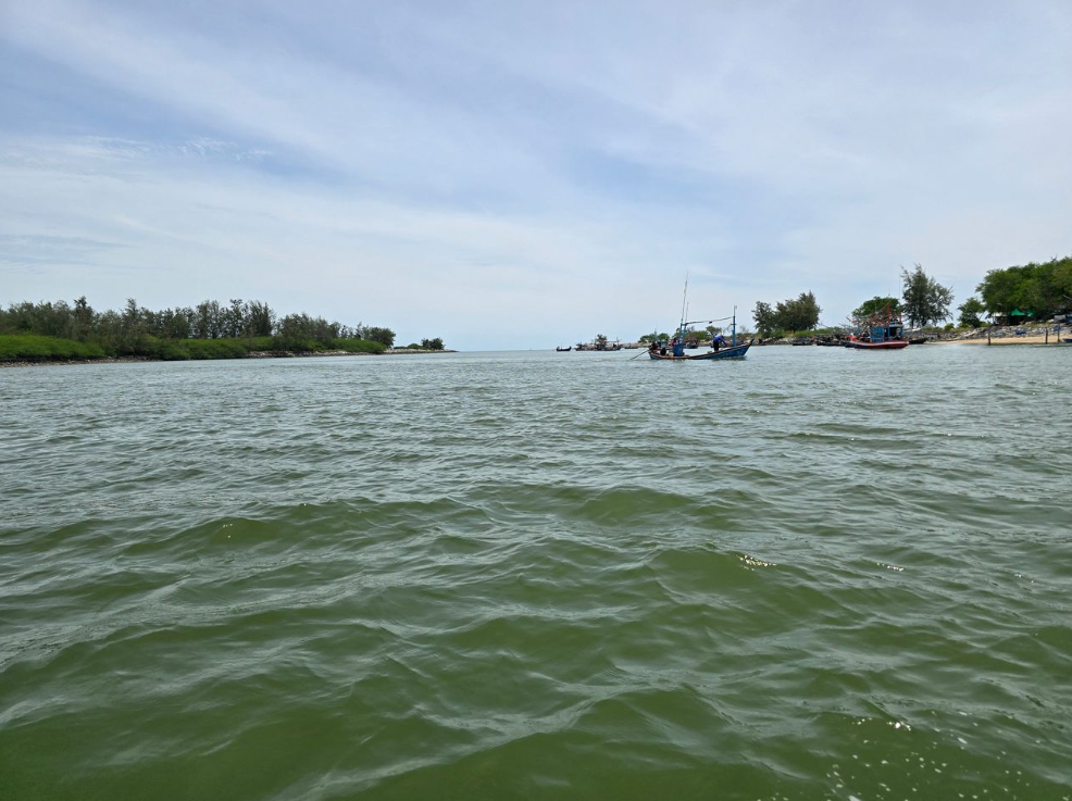 สำรวจวนอุทยานปราณบุรี: มหัศจรรย์ป่าชายเลนชายฝั่งของไทย