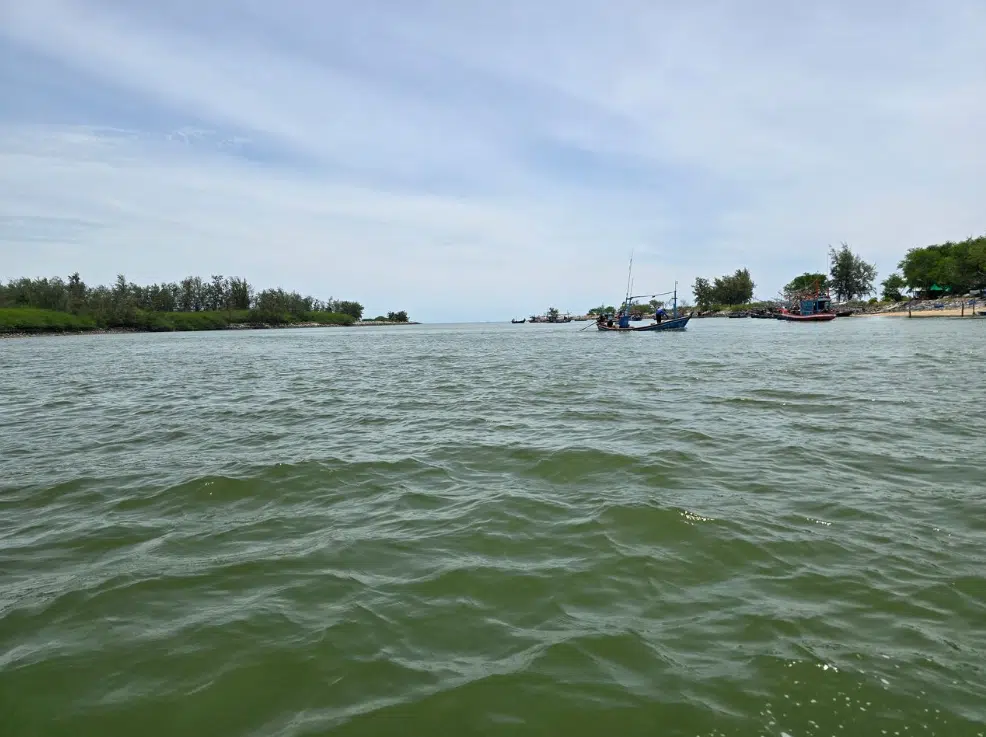 Exploring Pranburi Forest Park: Thailand’s Coastal Mangrove Marvel near Hua Hin