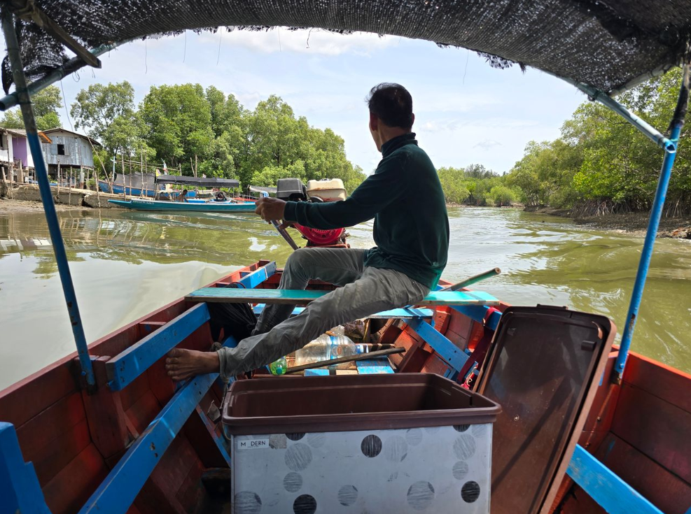 สำรวจวนอุทยานปราณบุรี: มหัศจรรย์ป่าชายเลนชายฝั่งของไทย