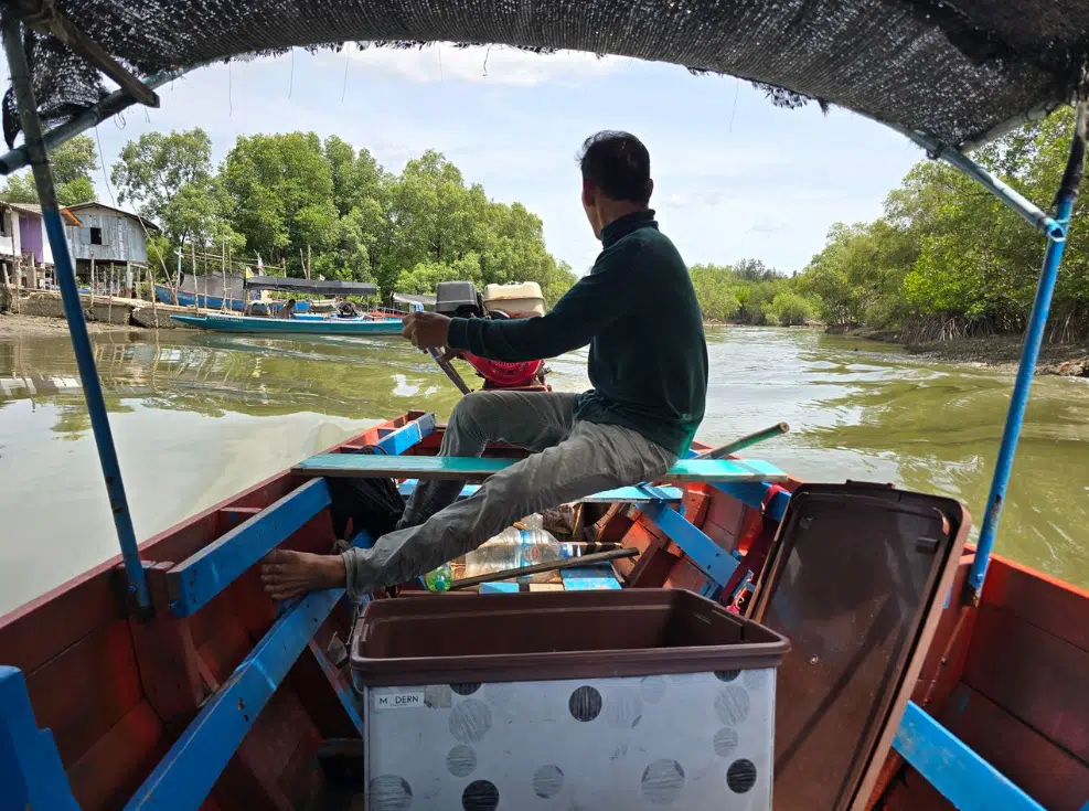 Exploring Pranburi Forest Park: Thailand’s Coastal Mangrove Marvel near Hua Hin