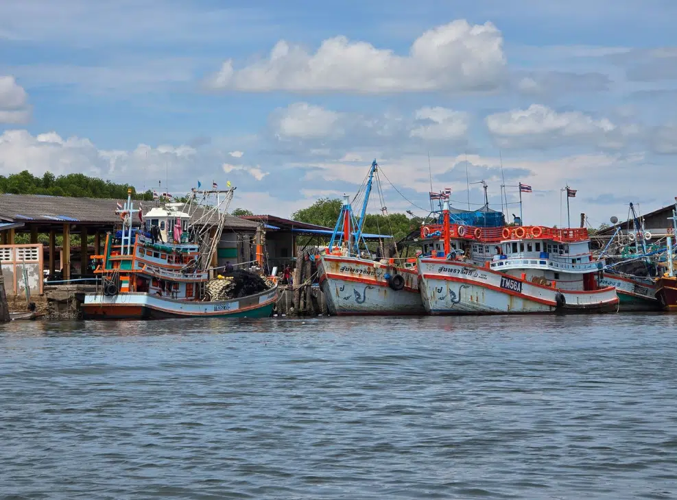 Exploring Pranburi Forest Park: Thailand’s Coastal Mangrove Marvel near Hua Hin