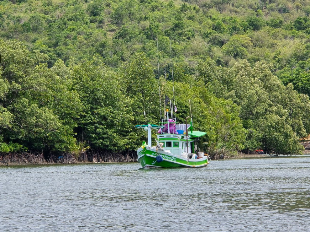 สำรวจวนอุทยานปราณบุรี: มหัศจรรย์ป่าชายเลนชายฝั่งของไทย