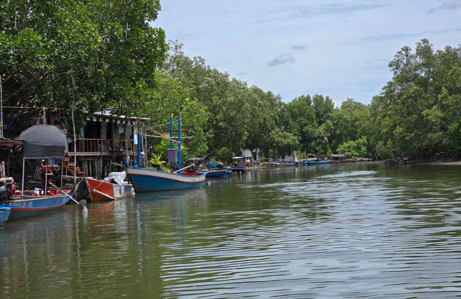 จังหวะน้ำขึ้นน้ำลง: หัวใจของระบบนิเวศ