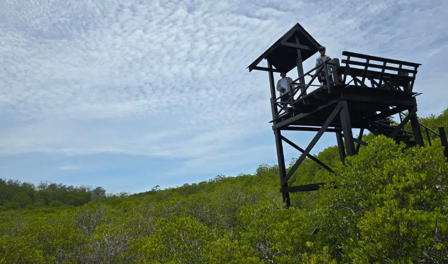 Why Pranburi Forest Park Deserves a Spot on Your Itinerary